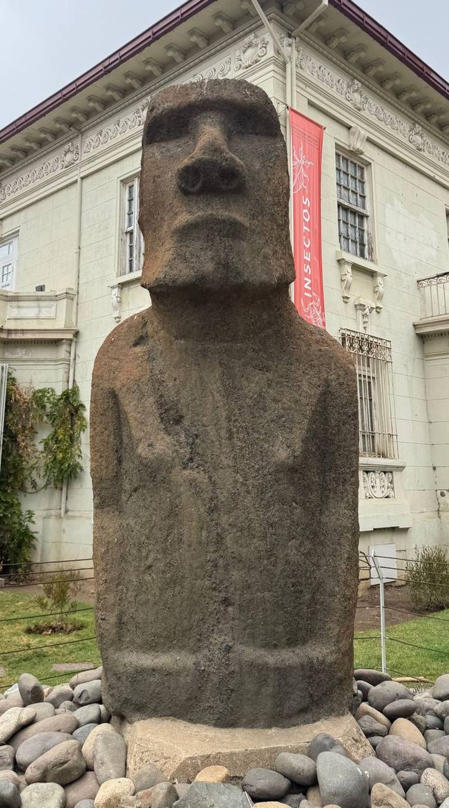Im benachbarten Vina del Mar gibt es im archeologischen Museum eine richtig gute Abteilung über die Rapa Nui (Bewohner der Osterinseln). Da bereuen wir es ein bisschen, dieses Ziel von unserer Liste gestrichen zu haben.