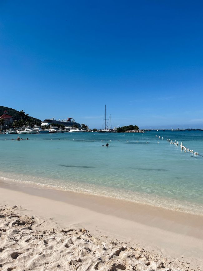 Maravilla azul de Jamaica en Ocho Rios 🩵