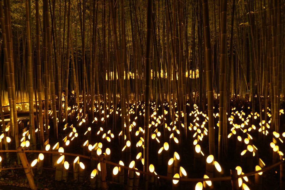 Im Sprint durch Kyoto