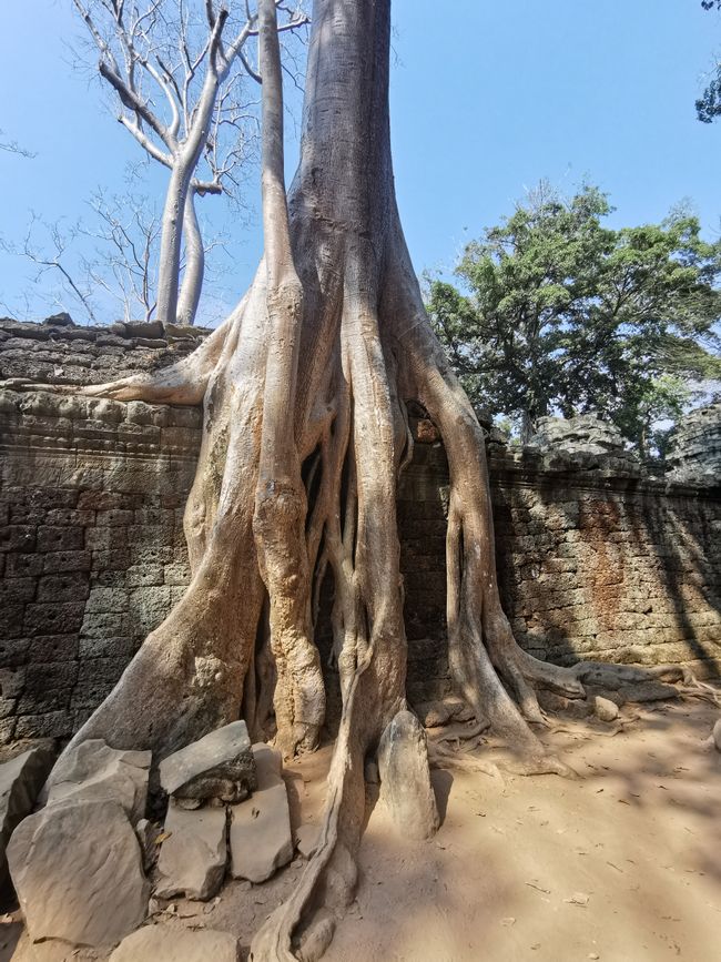 On Temple Tour in Siem Reap