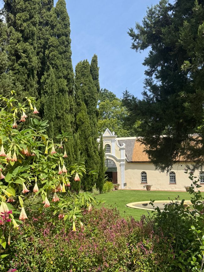 Afrique du Sud - Somerset West