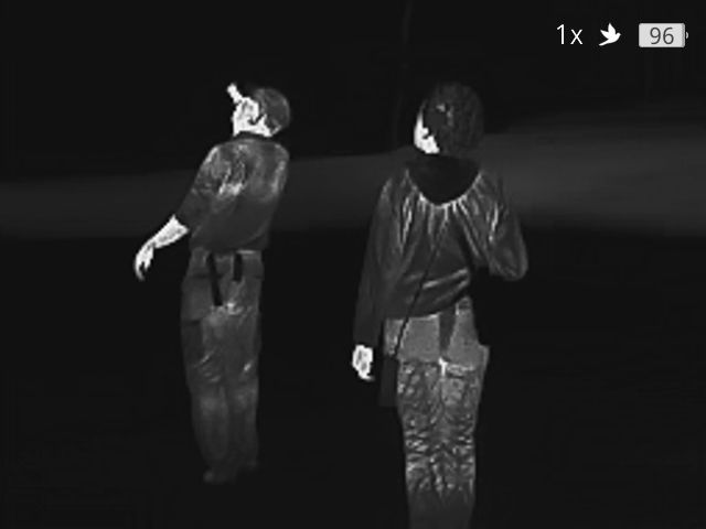 标签25，5月19日，岩石袋鼠和环尾袋鼠