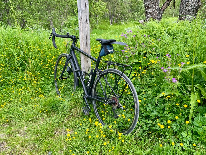 Immer wieder eine Freude diese schwarze Perle vorzufinden - eine treue Begleiterin. 