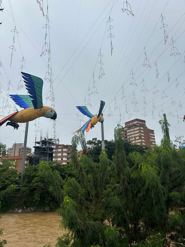 Medellín- die Stadt, in der alles erblüht?