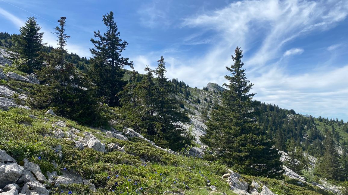 Wanderung auf den Pic Saint-Michel (Grenoble)