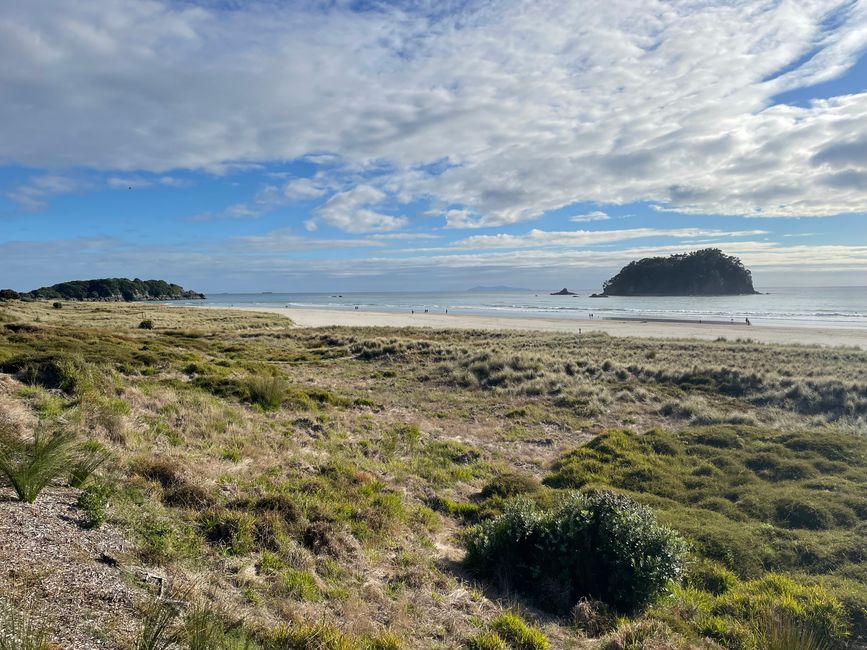 East Coast, Rotorua, Taupo, Bay of Plenty