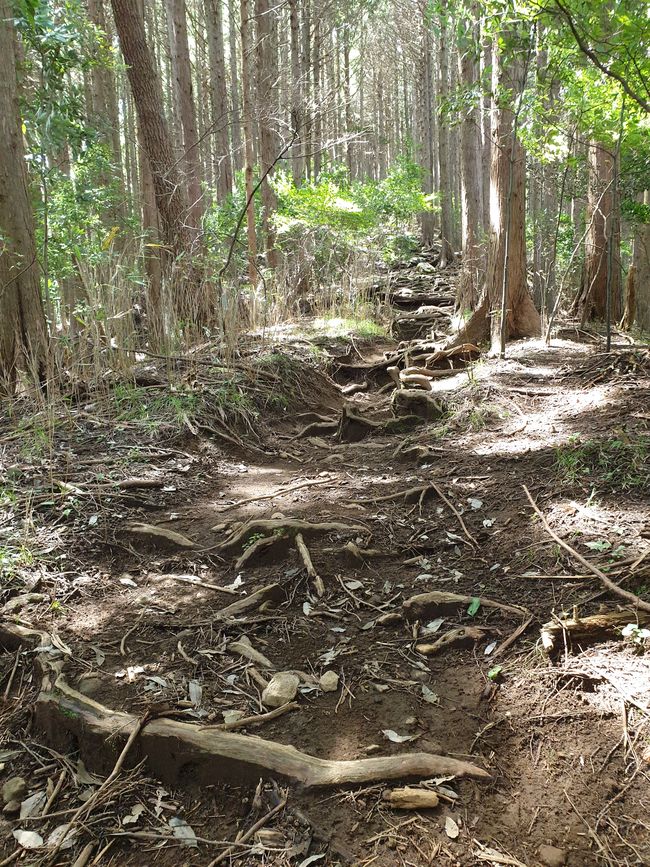 Los geht es auf einem unbekannten Wanderweg