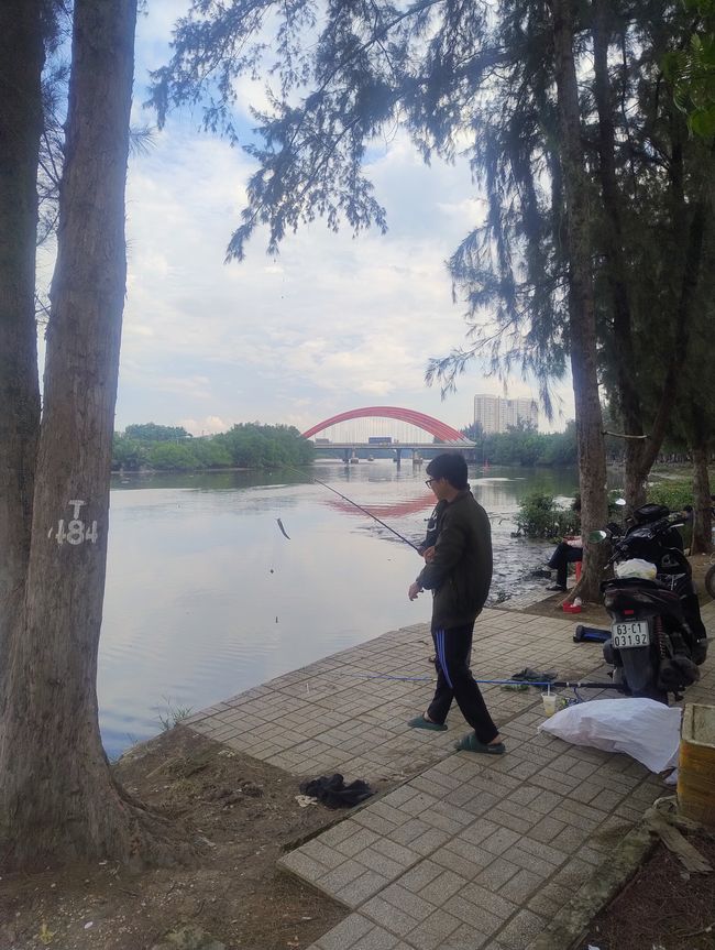 Pesce catturato nel Mekong 