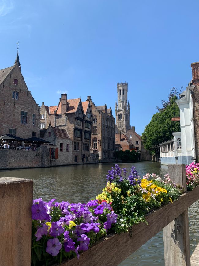 Vedere Bruges e ...