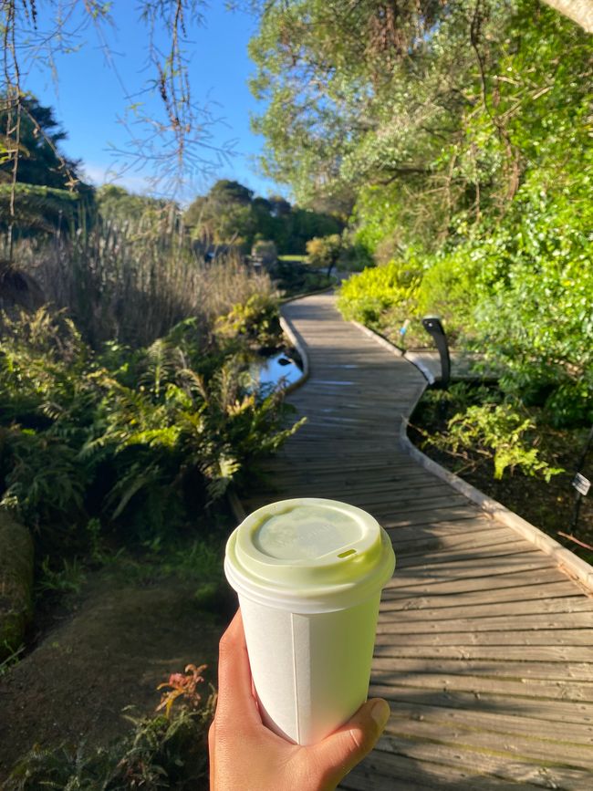 De whangarei à auckland