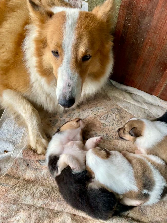 mit ihrem zuckersüßen Nachwuchs