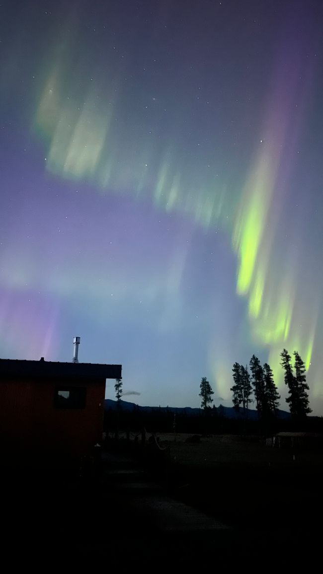 Nordlichter 