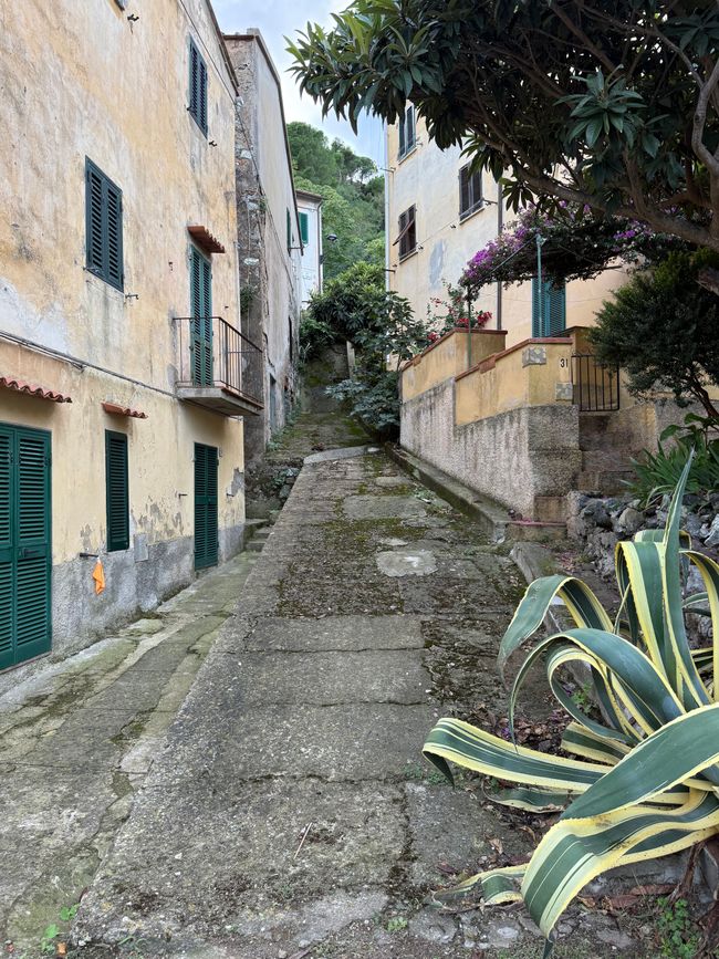 Excursions à Elbe vers Rio Marina, Cavo et Rio nell'Elba