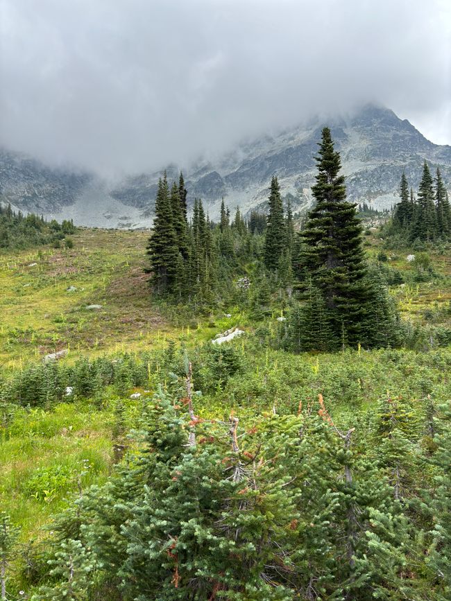 Blackcomb Mountain