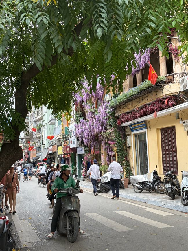 Good Morning Vietnam!