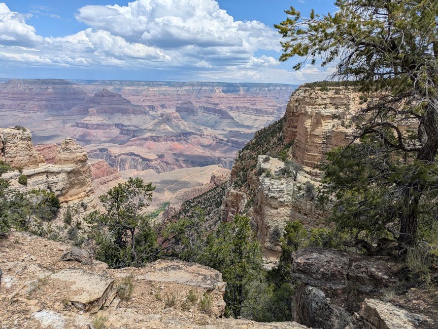 Grand Canyon
