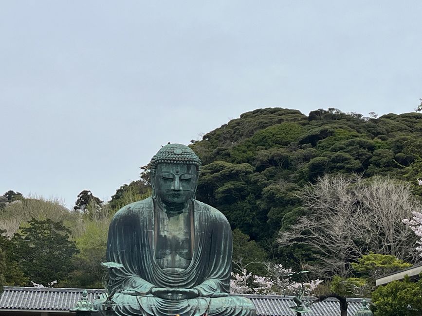 Kamakura-Daibutsu Buddha