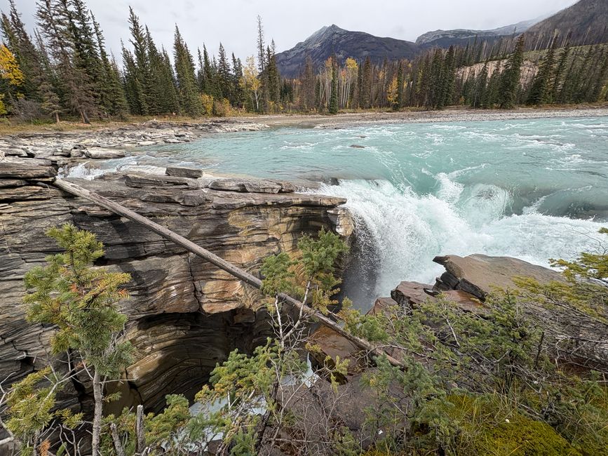 Tag 12 - 🏔️ Wasserfälle, Wetterkapriolen & Wellness – ein (fast) perfekter Tag in Jasper