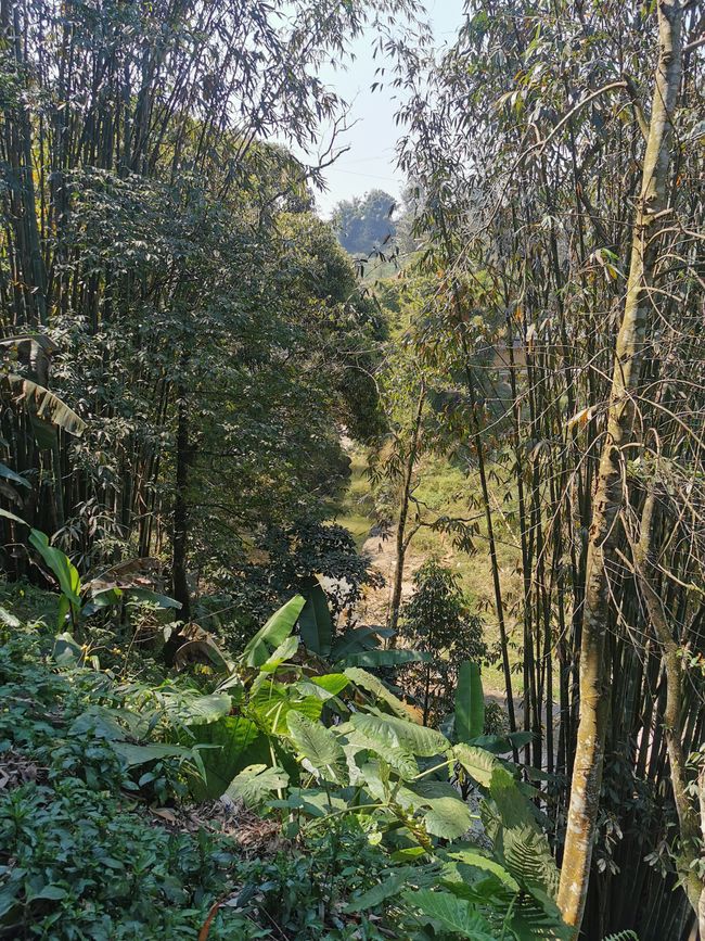 Wanderung in SaPa zum Cát-Cát-Village und den Wasserfällen