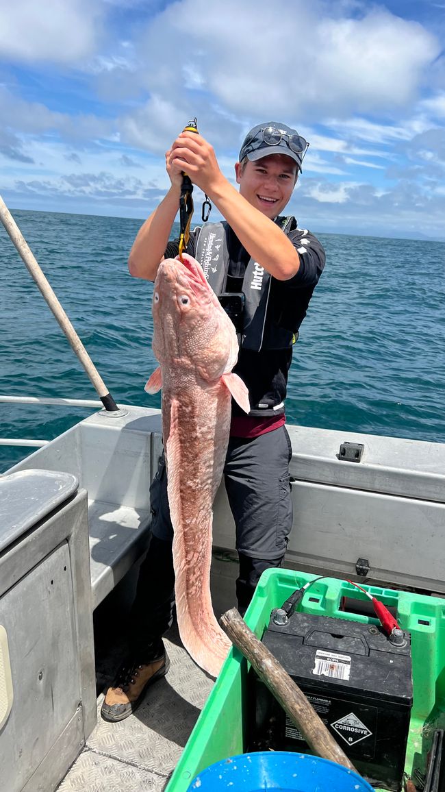 Fips mit den Tiefseemonster (ein Ling)