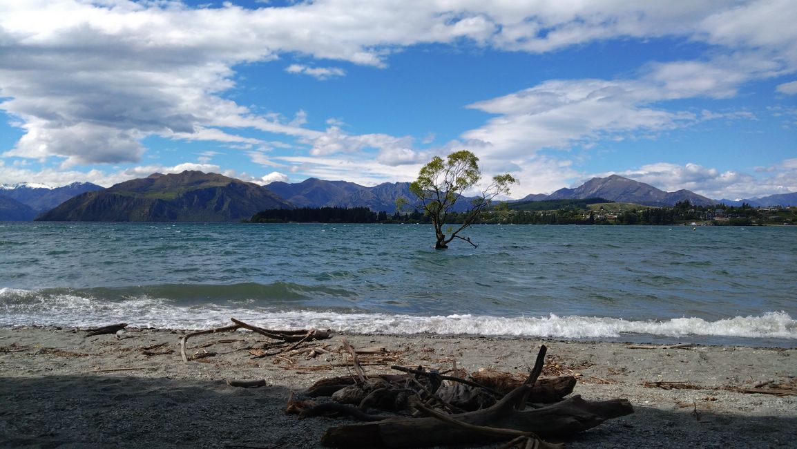 Wanaka and Queenstown