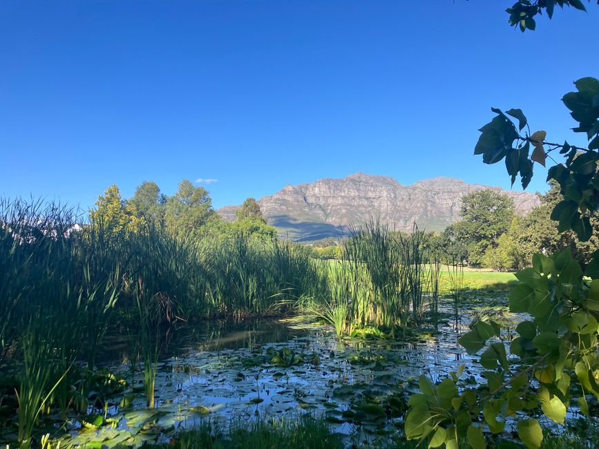 Kap-Halbinsel und Stellenbosch