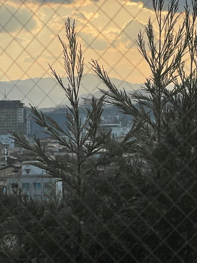 从我们的旅馆房间的景色