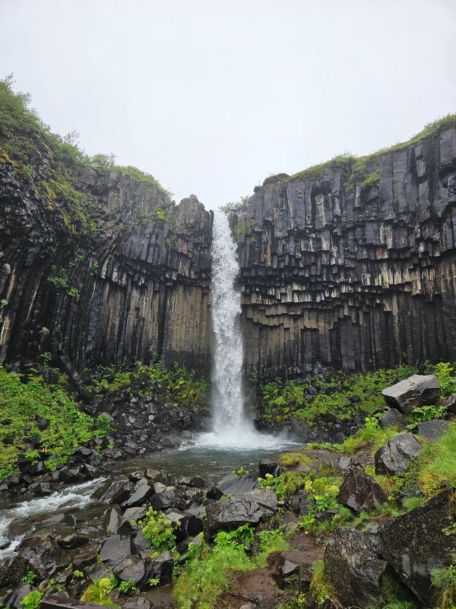 Svartifoss 
