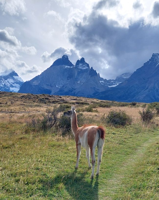 Chile - Santiago und Patagonien