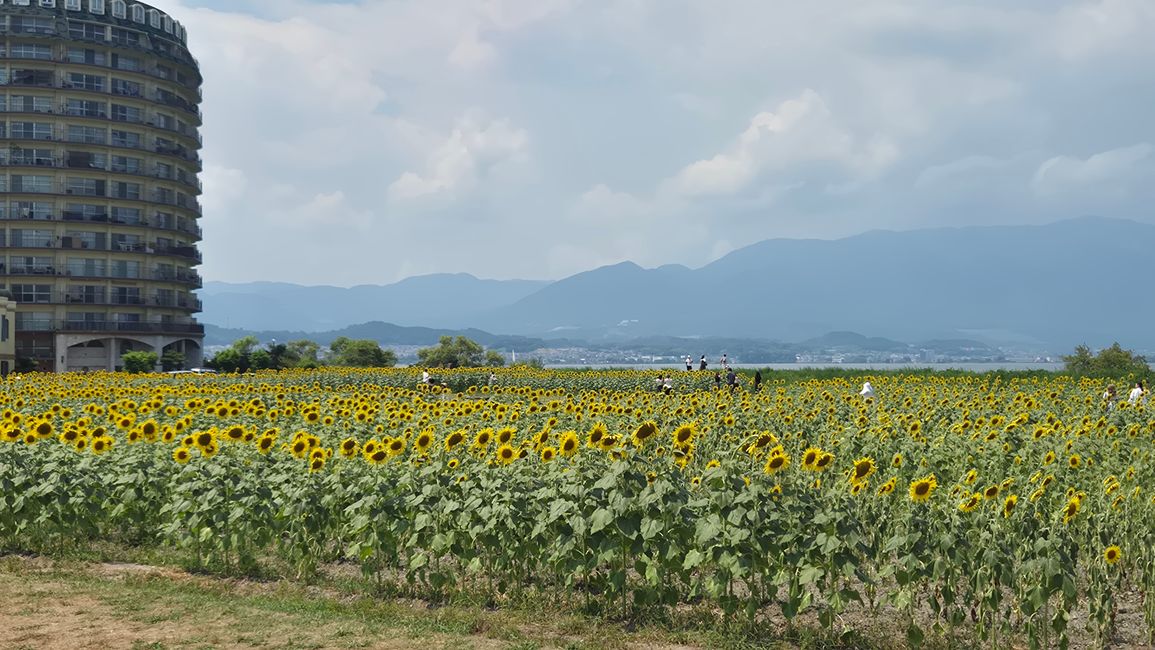 Radtour Lake Biwa Ostseite