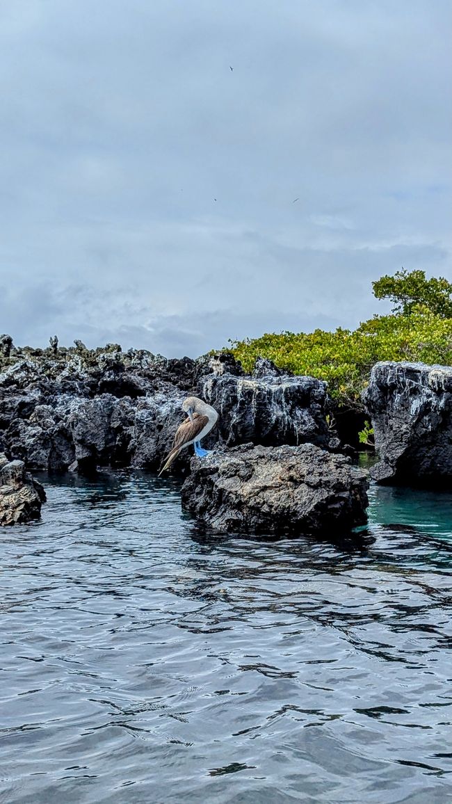 Galapagos Islands