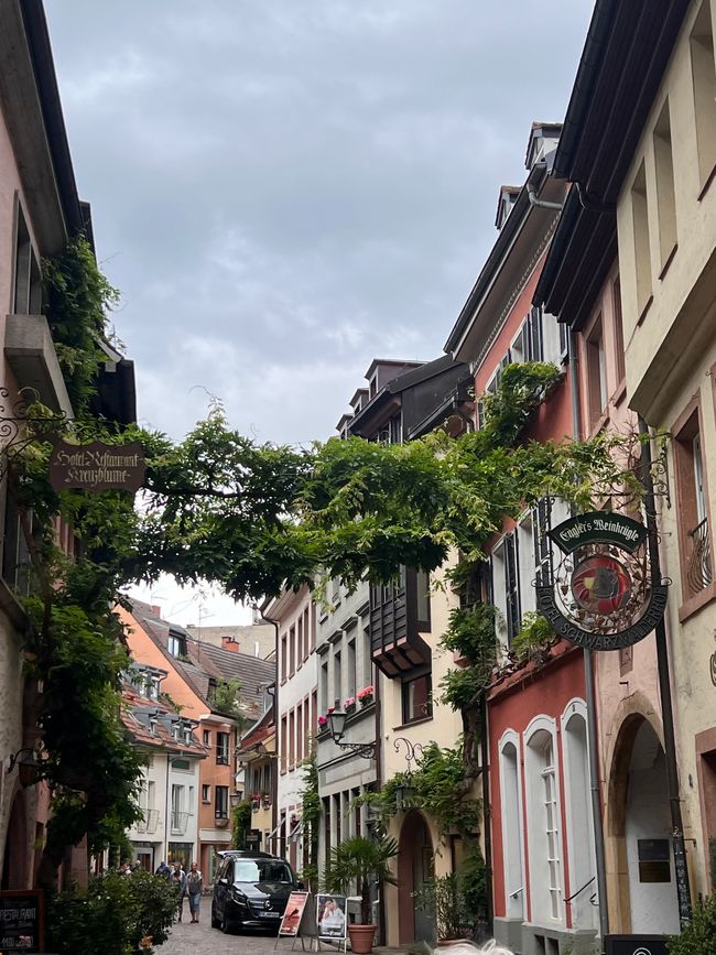 25b Spaziergang durch Freiburg