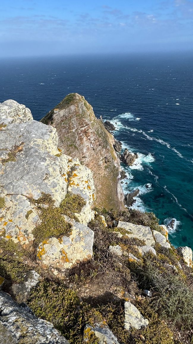 Tour del porto a Città del Capo, Spiaggia di Muizenberg, Spiaggia di Boulders, Capo di Buona Speranza