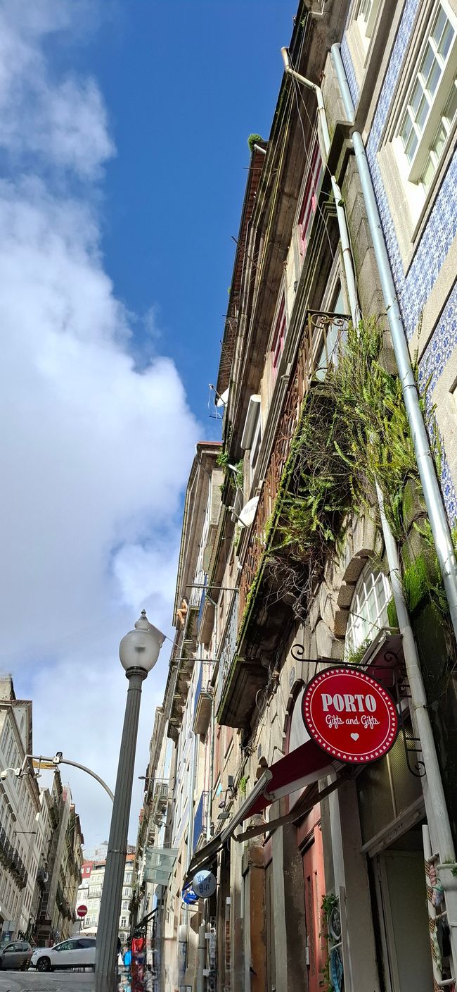 Etiqueta 1/3