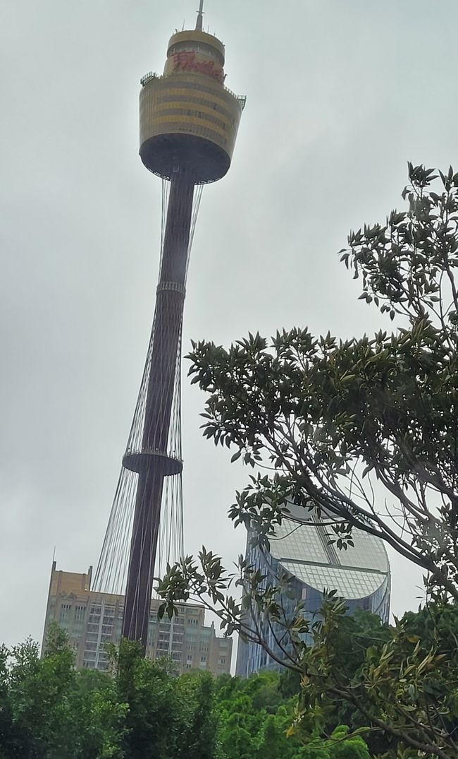 Jour 97 et 98 sur 175 : Croisière autour du monde - Sydney/Australie