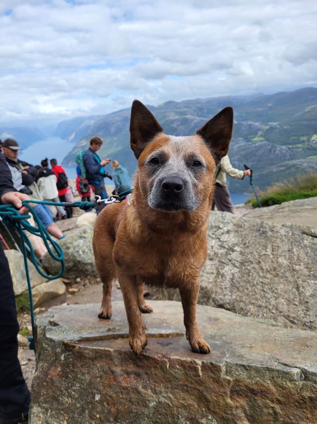 Days 5 and 6 - via Stavanger to the Preikestolen Campsite