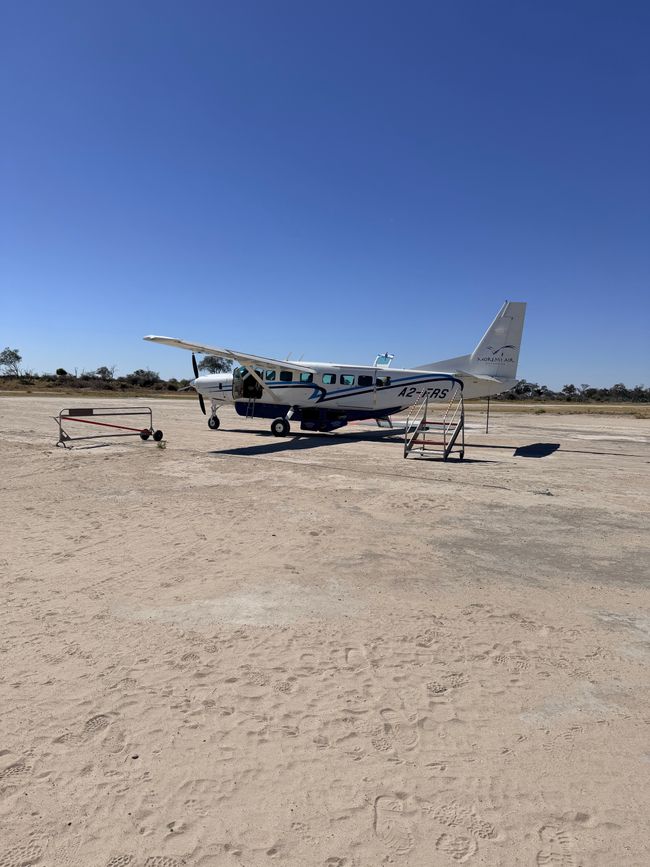 Vom Chobe zum Okavango