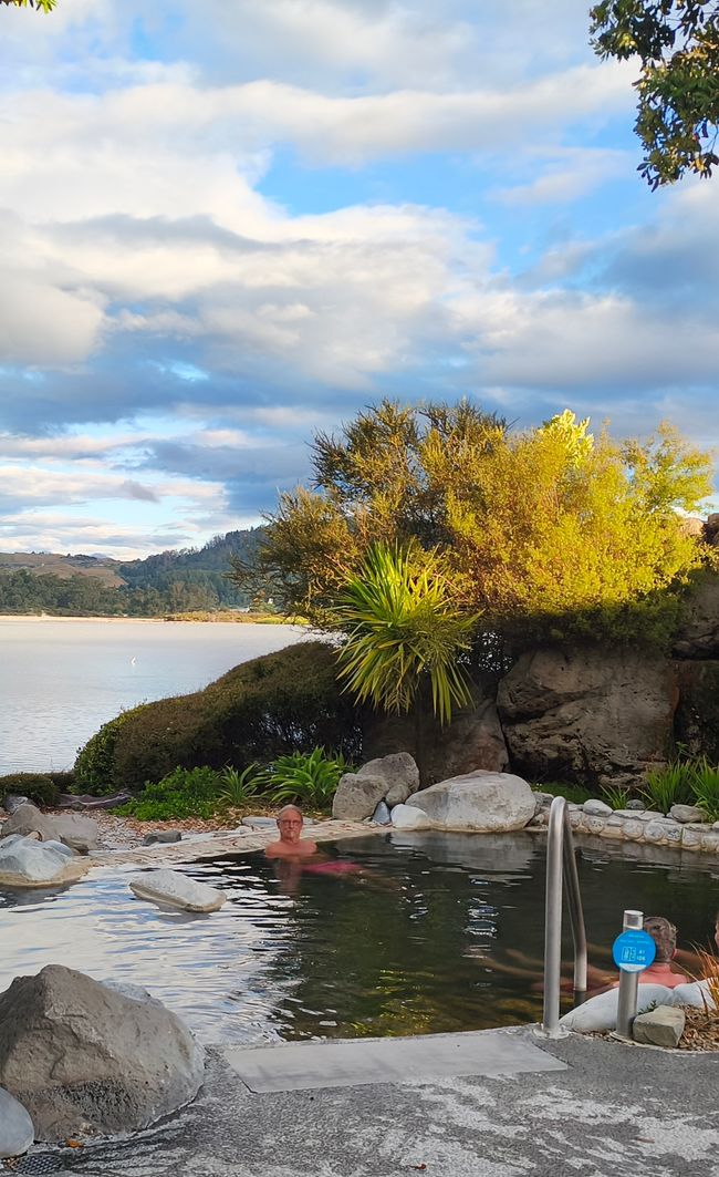 .... e proseguendo verso Rotorua ....