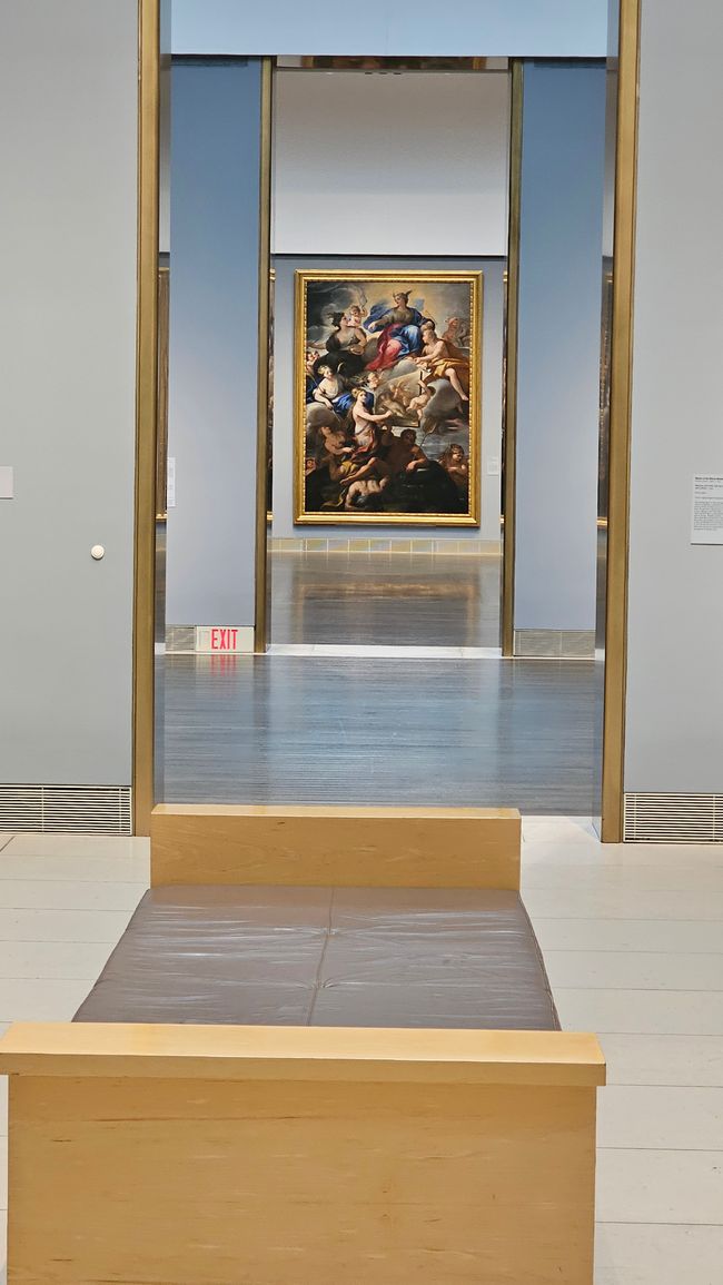 MFAH Photos de Hannes