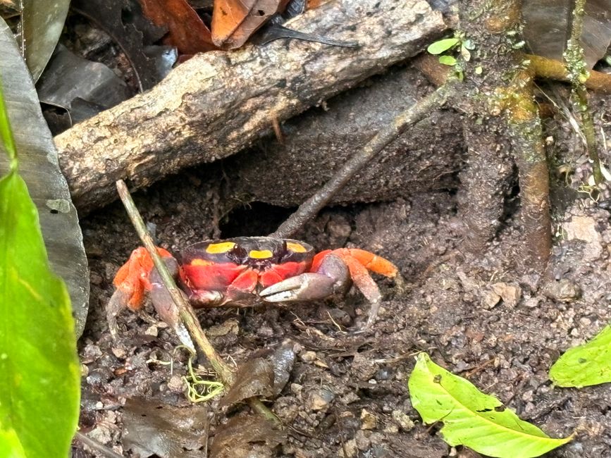 Unterwegs in Costa Rica