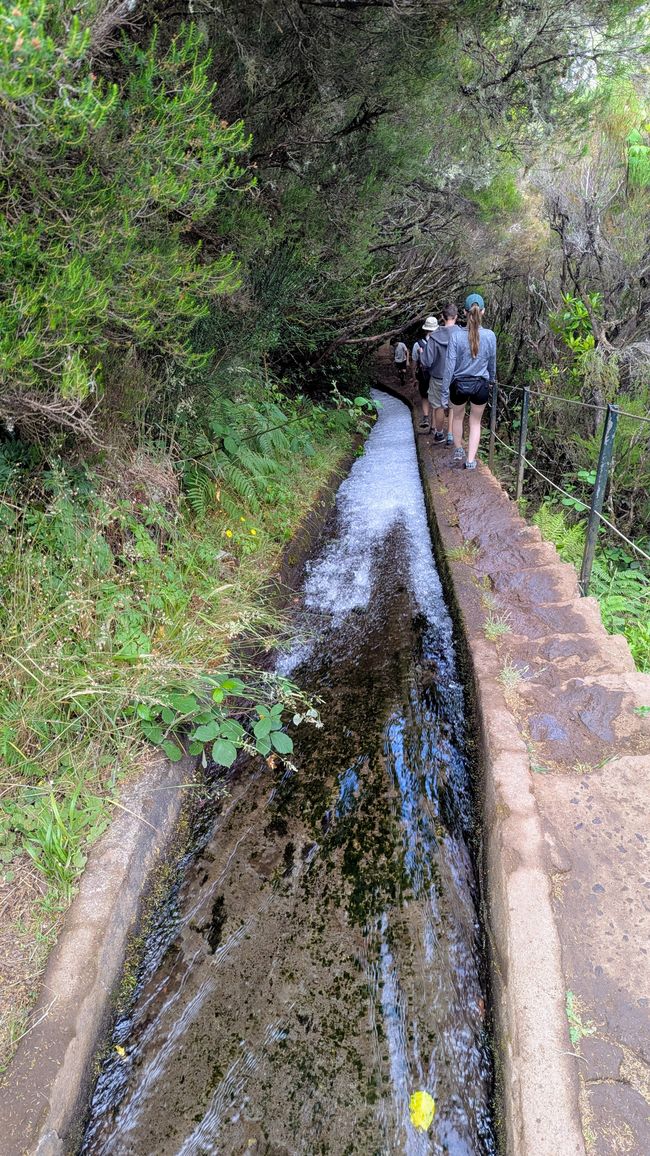 Tag 11: Levada do Alecrim und ein Open Air Festival