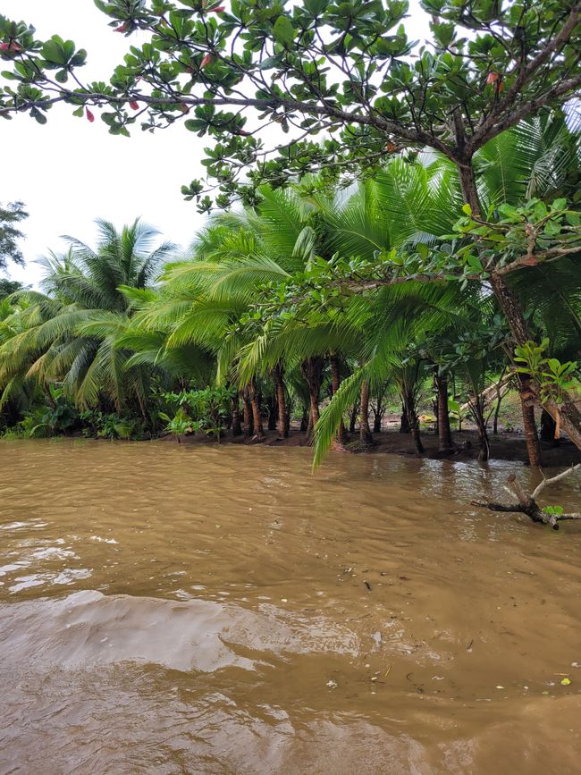 Day 39 of 175: Round the World Cruise - Puerto Limón/Costa Rica
