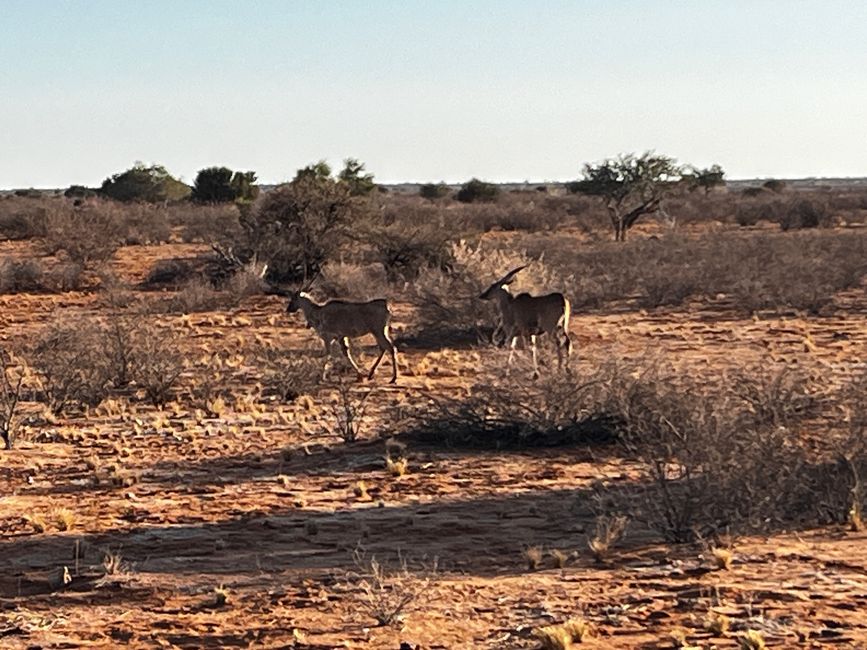 Auf in den Süden von Namibia 