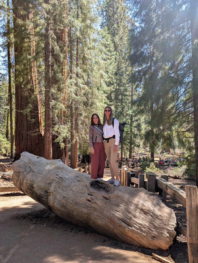 Parque Nacional Sequoia