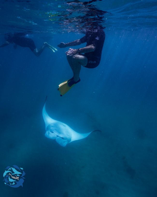 Snorkeling