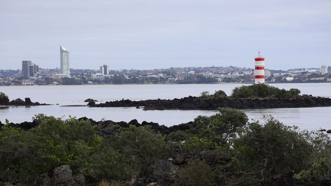 Woche 3 - Kia Ora Neuseeland!