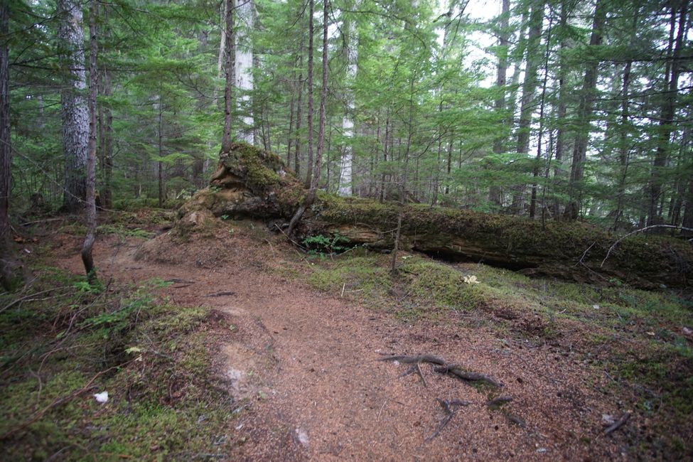 Tag 12: Die Vau Des wandern