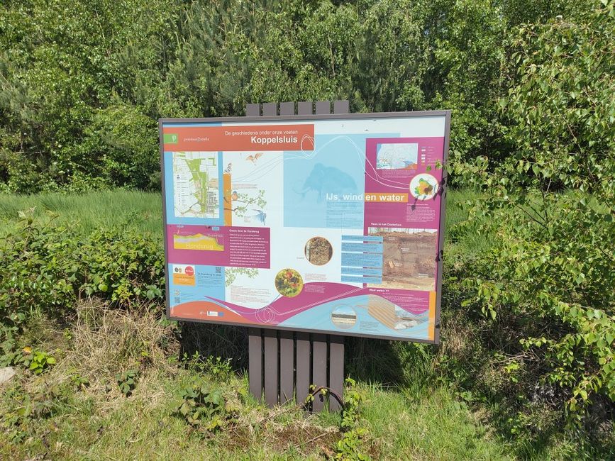 von Hoogeveen über Emmen nach Haren/Ems