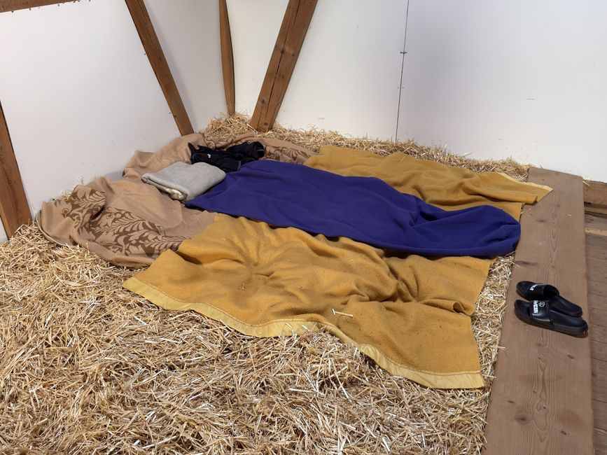 Sleeping in Straw