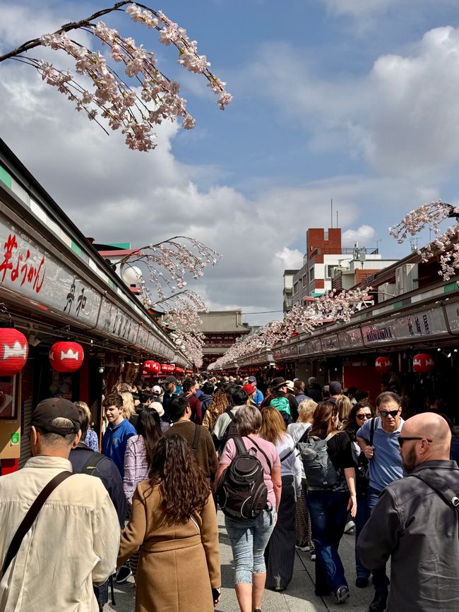 Parte 7
BENVENUTO IN GIAPPONE 🇯🇵
TOKYO